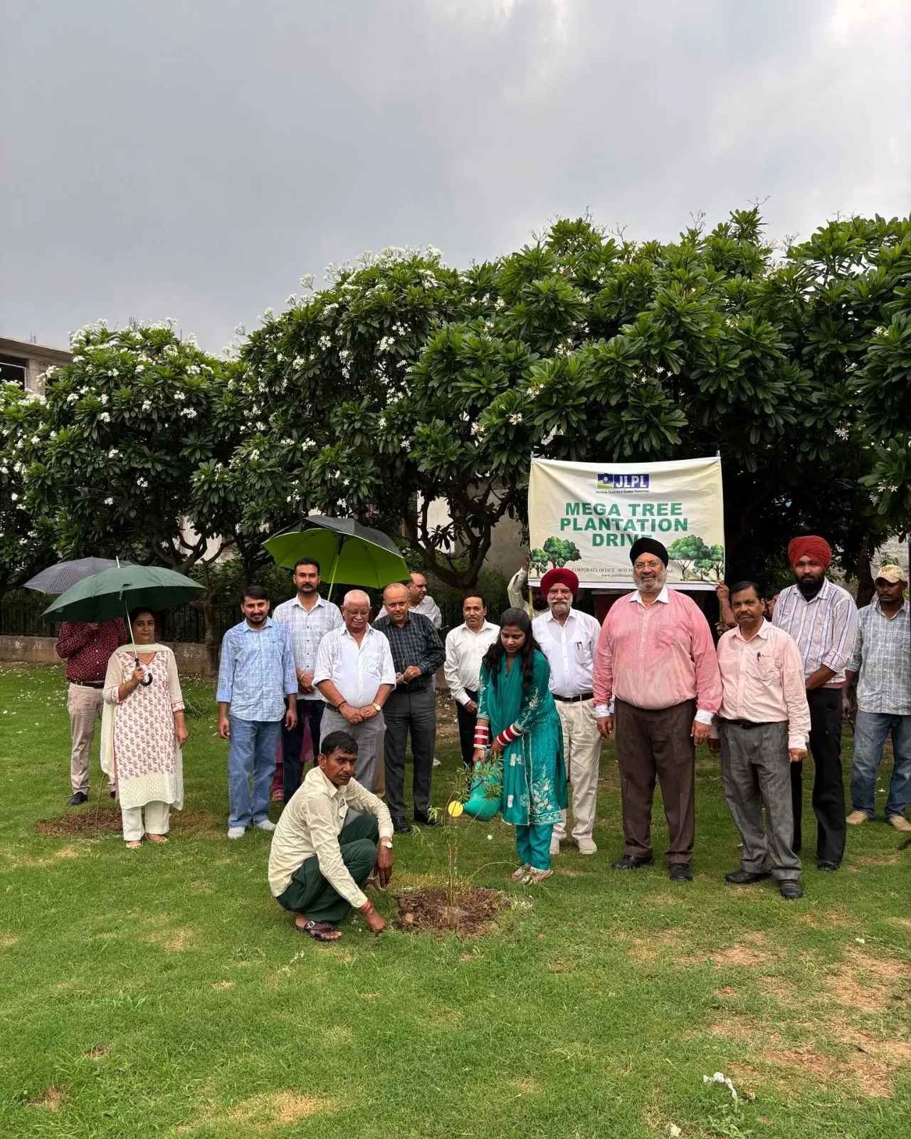 plantation-2026-1
